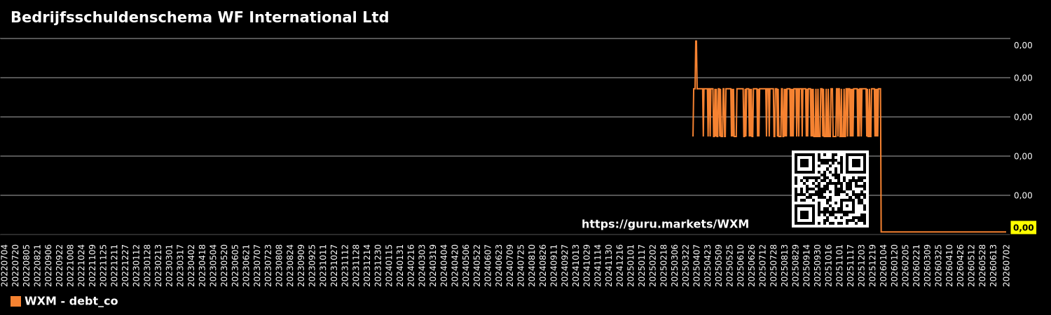 Bedrijfsschuldenschema WF International Ltd